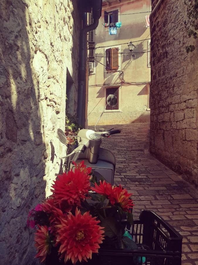 La Calletta Rovigno Esterno foto